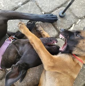 Meet your Posher, Jerome